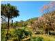 110-120 Dog Trap Road, Ourimbah NSW 2258