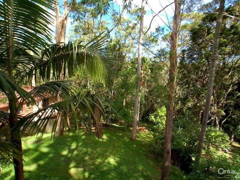 44 Rain Forest Road, Wyoming NSW 2250