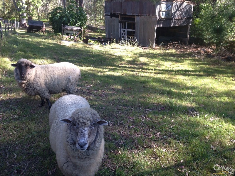 89 Berkeley rd, Berkeley Vale NSW 2261