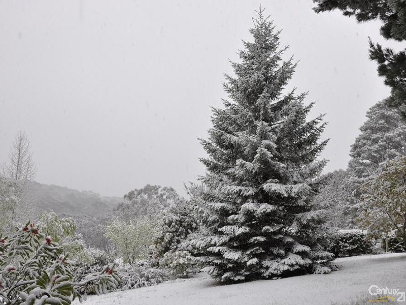 117-119 Mount Irvine Road, Mount Wilson NSW 2786