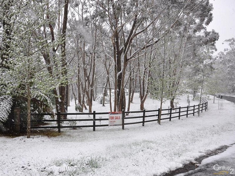 117-119 Mount Irvine Road, Mount Wilson NSW 2786