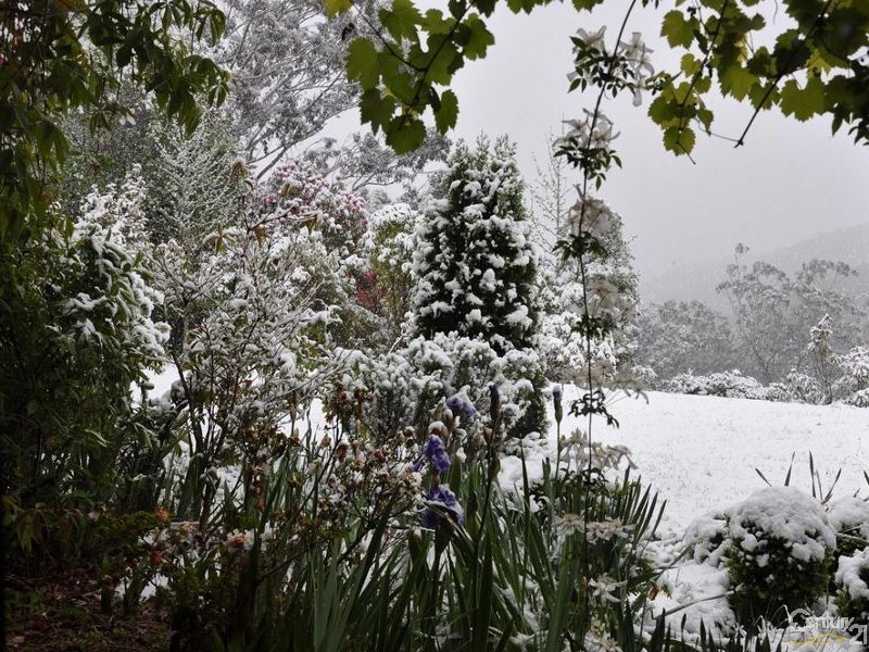 117-119 Mount Irvine Road, Mount Wilson NSW 2786