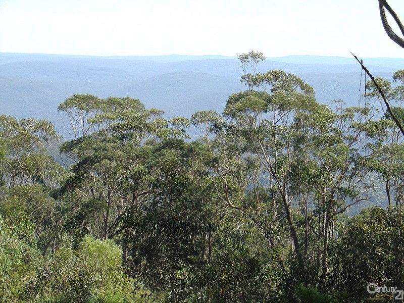 117-119 Mount Irvine Road, Mount Wilson NSW 2786