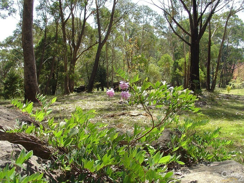 117-119 Mount Irvine Road, Mount Wilson NSW 2786