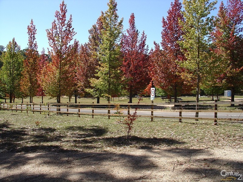 117-119 Mount Irvine Road, Mount Wilson NSW 2786