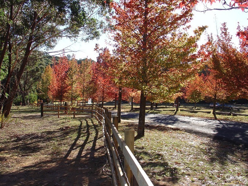 117-119 Mount Irvine Road, Mount Wilson NSW 2786