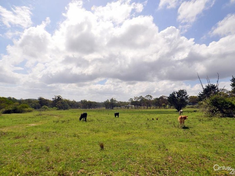 Mangrove Mountain NSW 2250