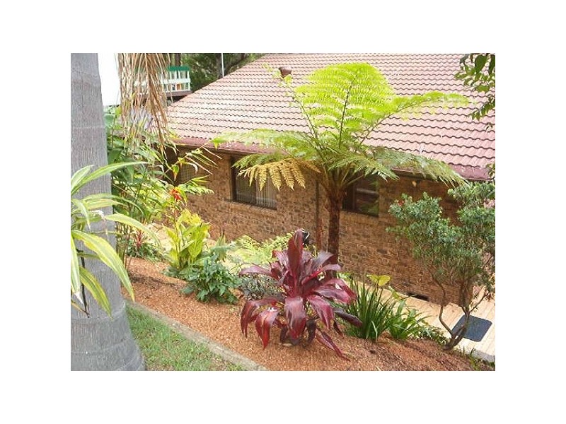 6 Duncan Road, North Avoca NSW 2260