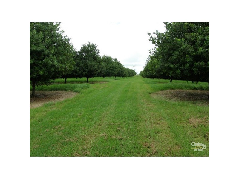 29 Shaws Lane, Alstonville NSW 2477