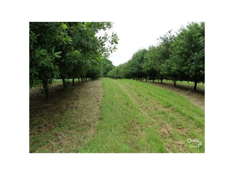 29 Shaws Lane, Alstonville NSW 2477