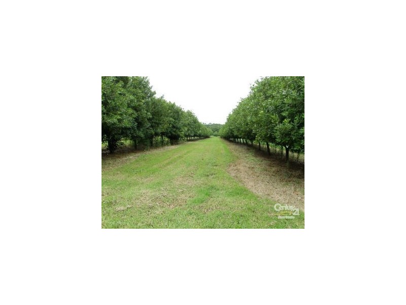 29 Shaws Lane, Alstonville NSW 2477