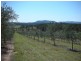 Tabulam NSW 2469