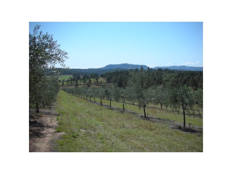 Tabulam NSW 2469