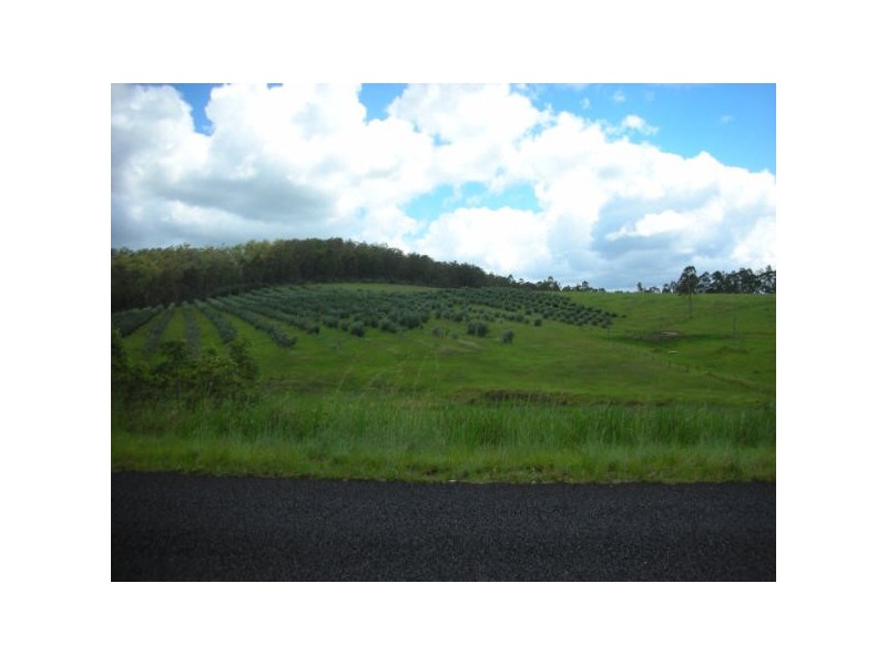 Tabulam NSW 2469