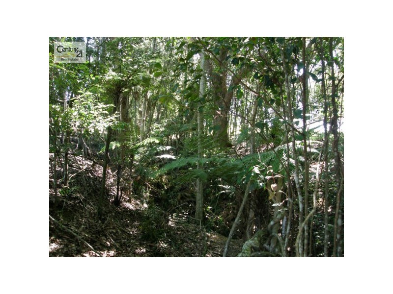 Alstonville NSW 2477