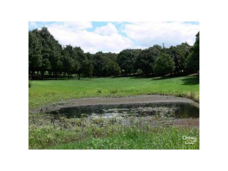 498 Cowlong Road, Mcleans Ridges NSW 2480