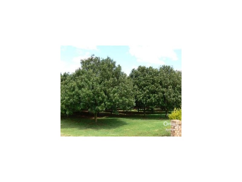 498 Cowlong Road, Mcleans Ridges NSW 2480