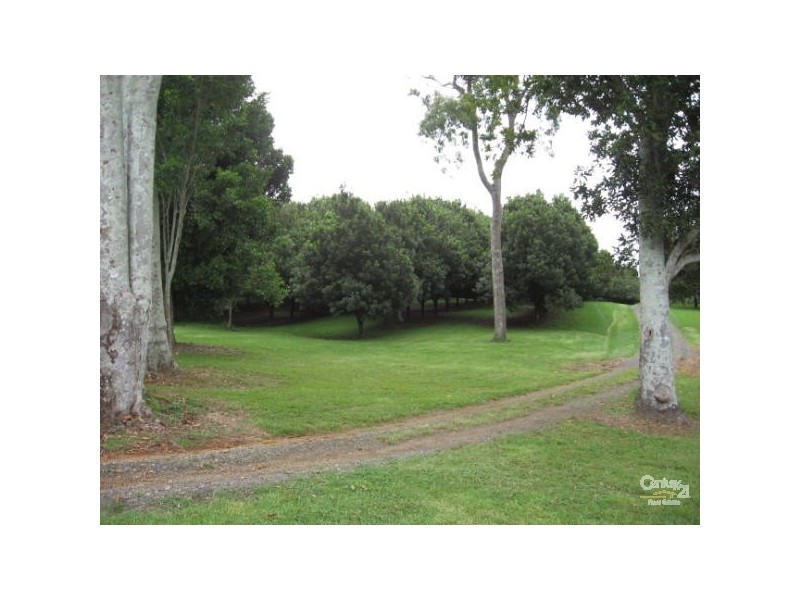498 Cowlong Road, Mcleans Ridges NSW 2480