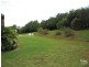 498 Cowlong Road, Mcleans Ridges NSW 2480