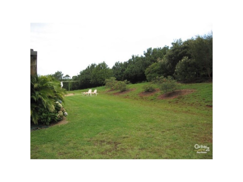 498 Cowlong Road, Mcleans Ridges NSW 2480