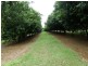 Dunoon NSW 2480