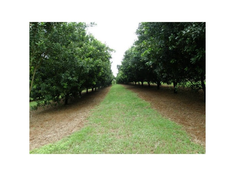 Dunoon NSW 2480
