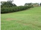 Dunoon NSW 2480