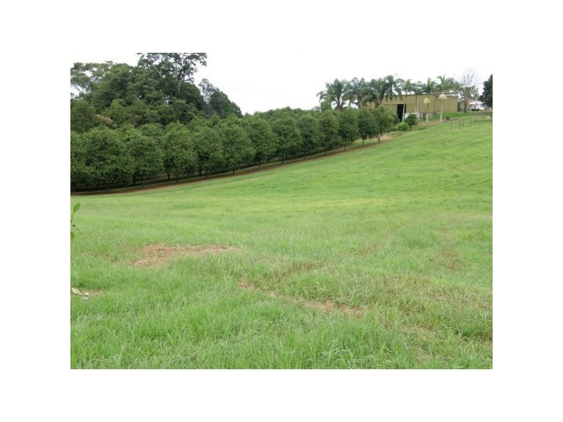 Dunoon NSW 2480