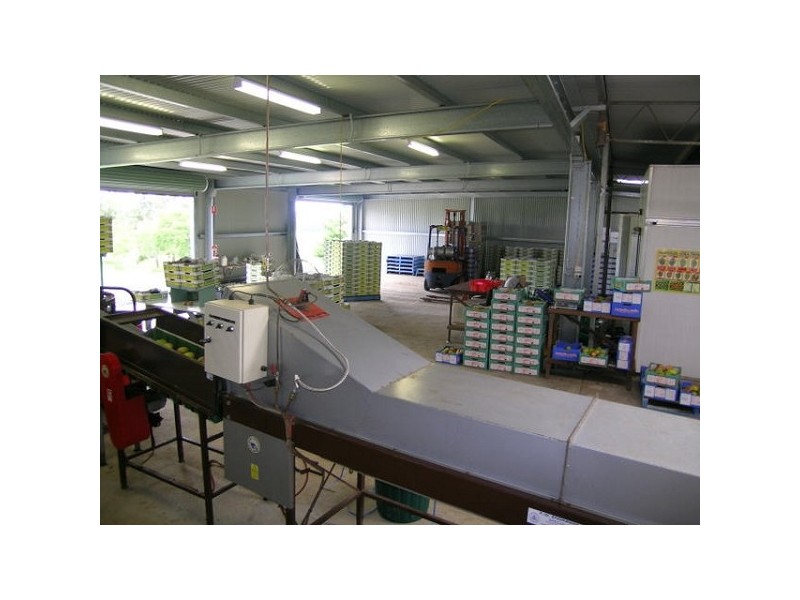 100 Lees Lane Hogarth Range, Hogarth Range NSW 2469