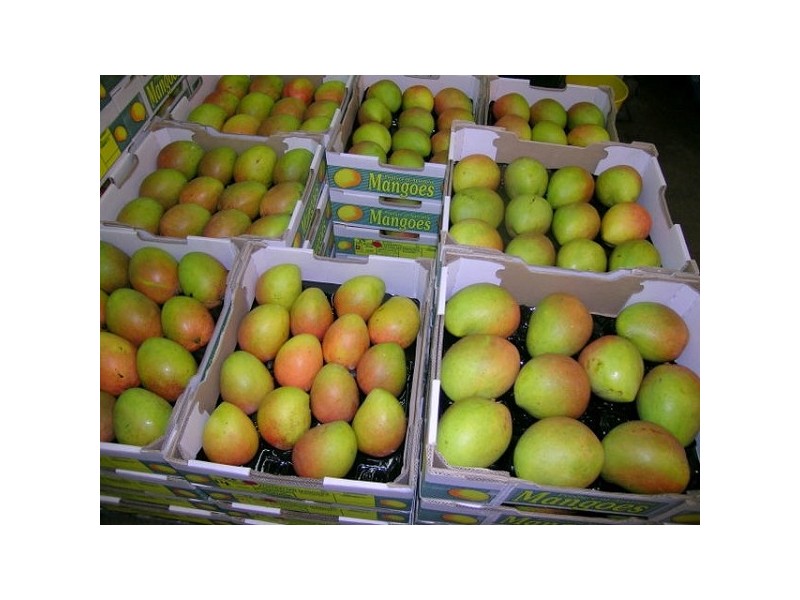 100 Lees Lane Hogarth Range, Hogarth Range NSW 2469