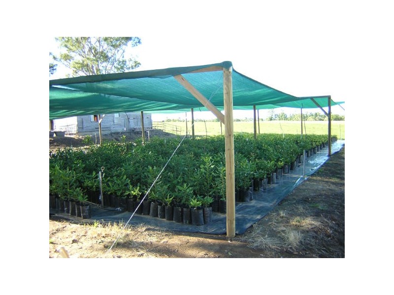 100 Lees Lane Hogarth Range, Hogarth Range NSW 2469