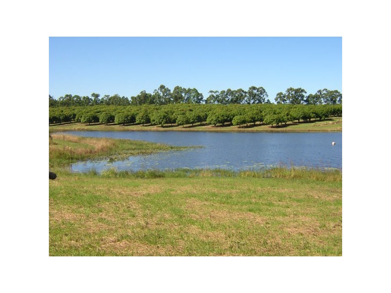 100 Lees Lane Hogarth Range, Hogarth Range NSW 2469