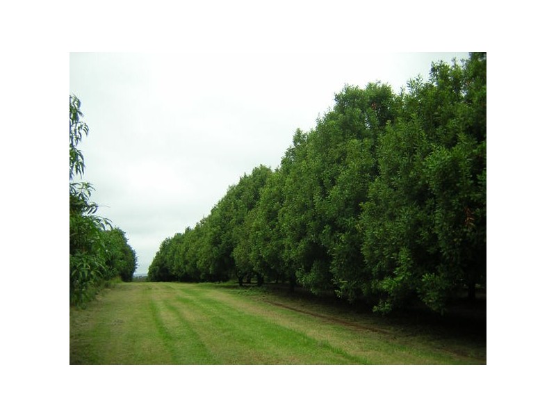 100 Lees Lane Hogarth Range, Hogarth Range NSW 2469