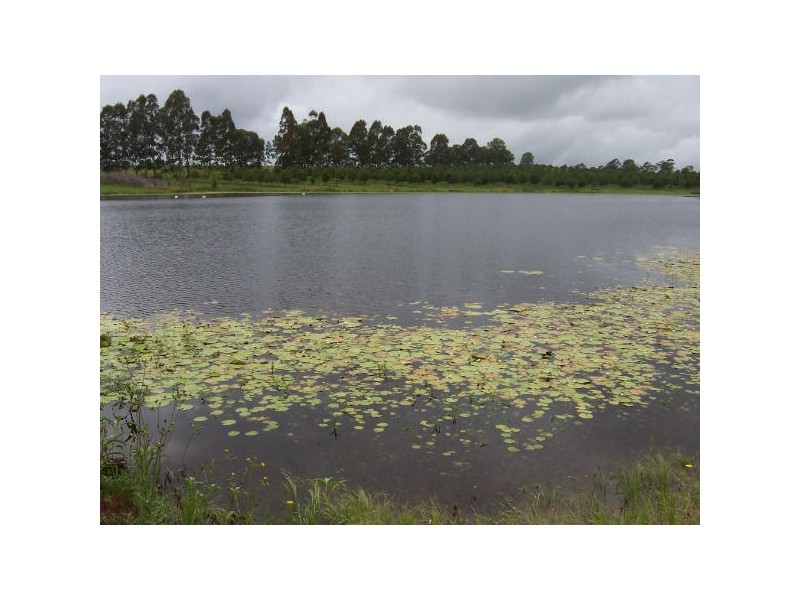 100 Lees Lane Hogarth Range, Hogarth Range NSW 2469