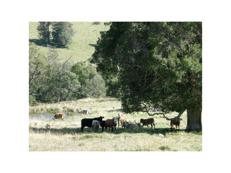 Goonellabah NSW 2480