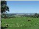Lot 3 Leadbeatters Lane, Alstonville NSW 2477