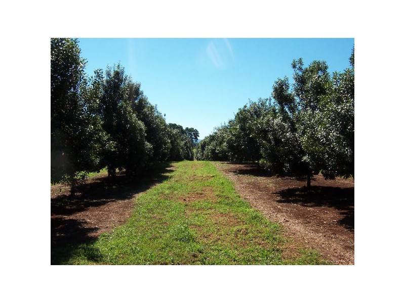 500 Duncan Road, Dunoon NSW 2480