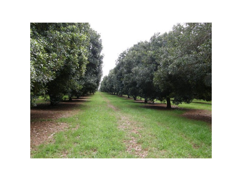 190 Fletcher Road, Dunoon NSW 2480