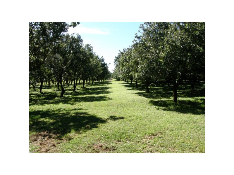 Wollongbar NSW 2477
