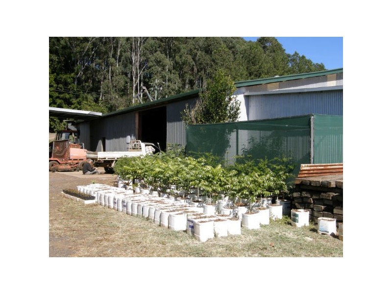 Wollongbar NSW 2477