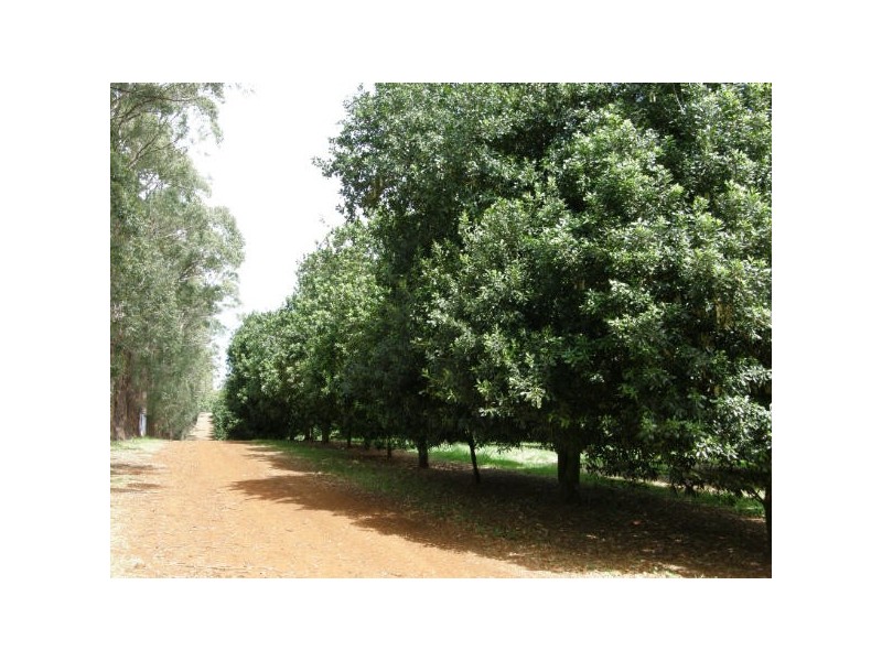 190 Fletcher Road, Dunoon NSW 2480