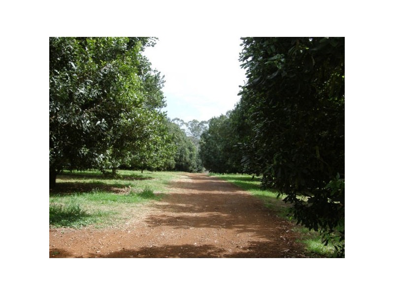 190 Fletcher Road, Dunoon NSW 2480