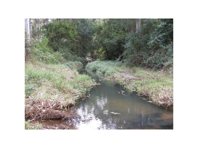 190 Fletcher Road, Dunoon NSW 2480