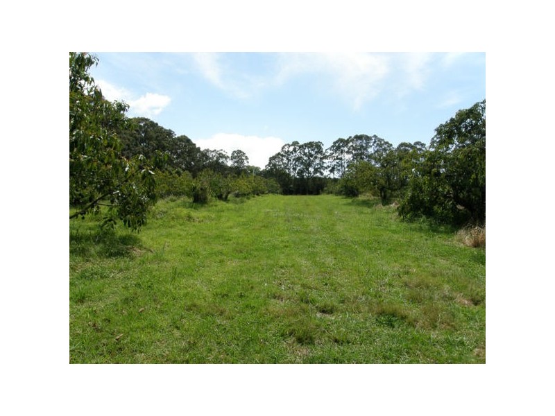 Mcleans Ridges NSW 2480