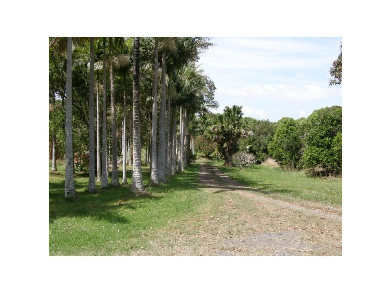 Mcleans Ridges NSW 2480
