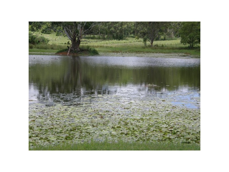 Alstonville NSW 2477