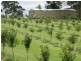 Alstonville NSW 2477