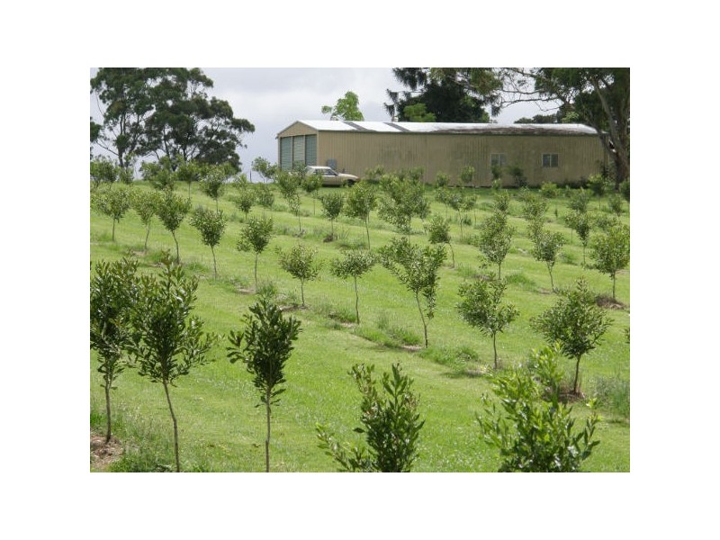 Alstonville NSW 2477