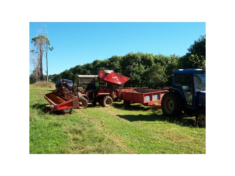 Alstonville NSW 2477