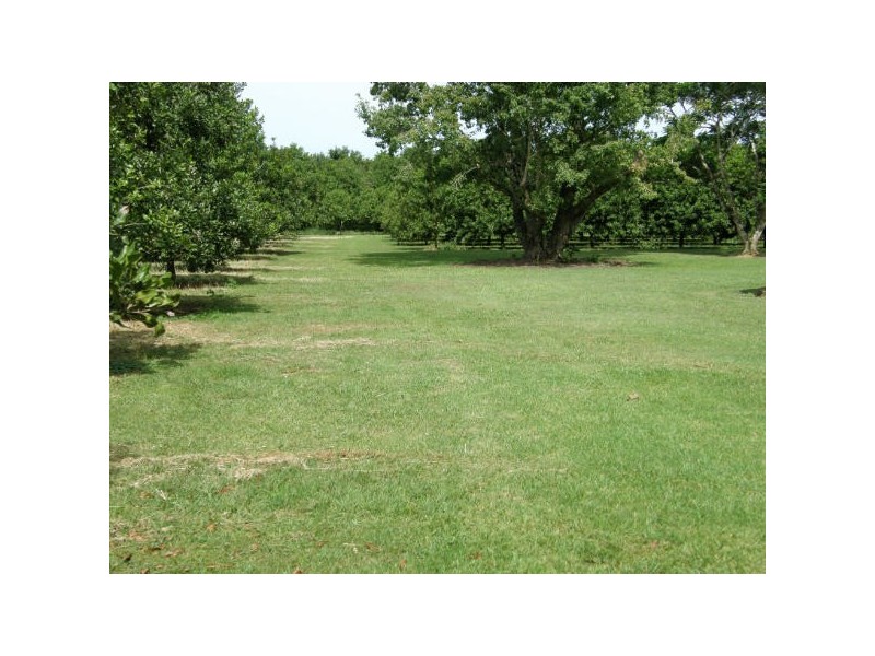 Alstonville NSW 2477